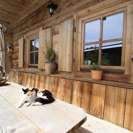 Appartement Kasperbauer à Kirchberg en Tyrol Extérieur photo